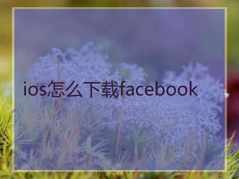 ios怎么下载facebook