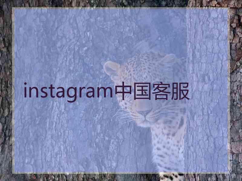 instagram中国客服