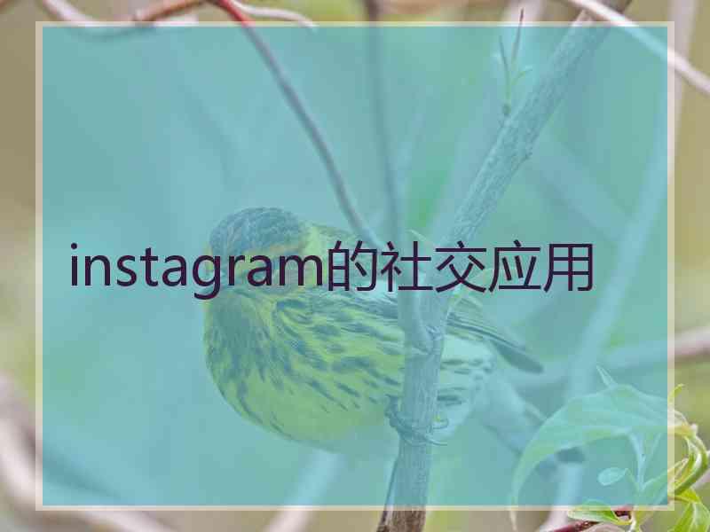 instagram的社交应用