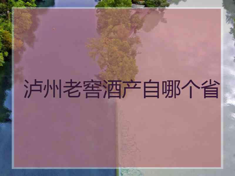 泸州老窖酒产自哪个省