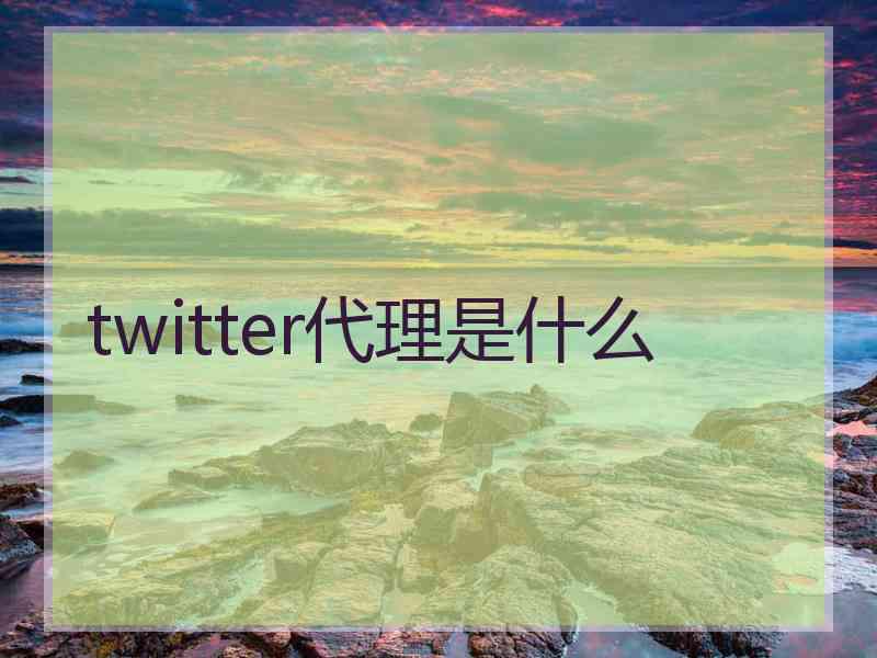 twitter代理是什么