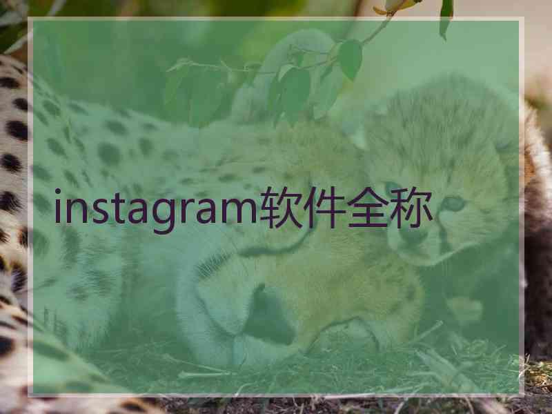 instagram软件全称