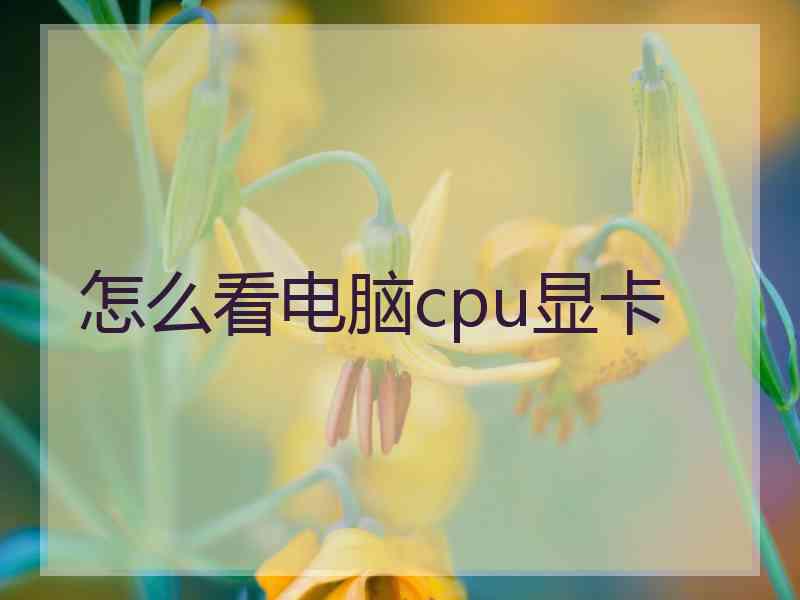 怎么看电脑cpu显卡