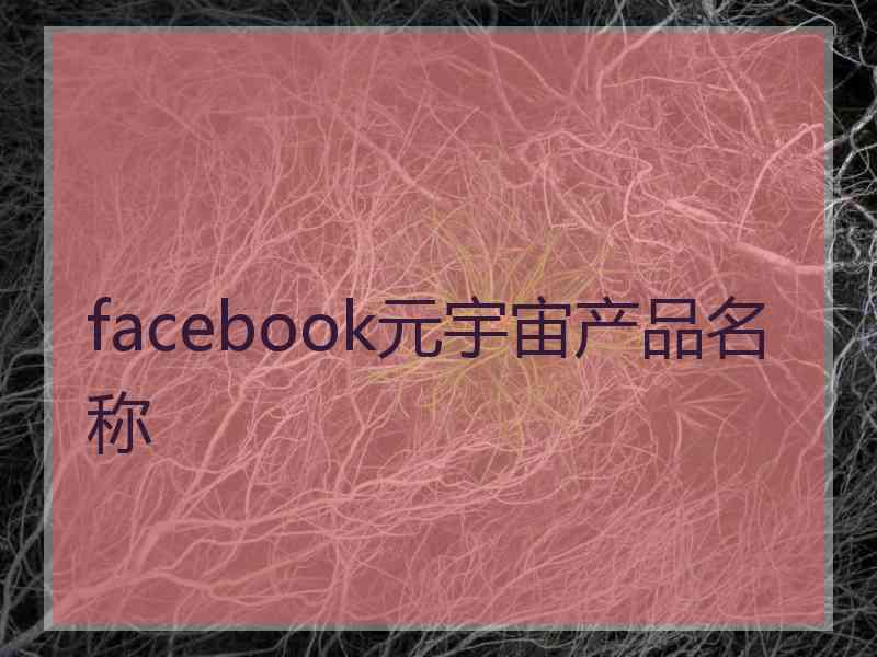 facebook元宇宙产品名称