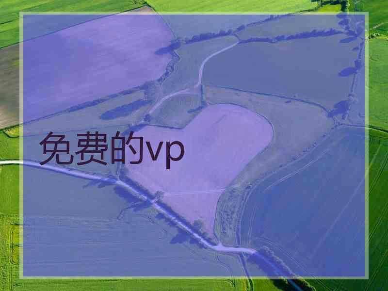 免费的vp