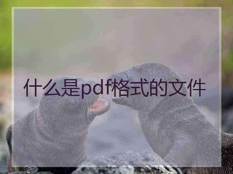 什么是pdf格式的文件