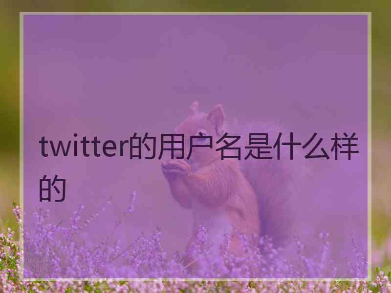 twitter的用户名是什么样的