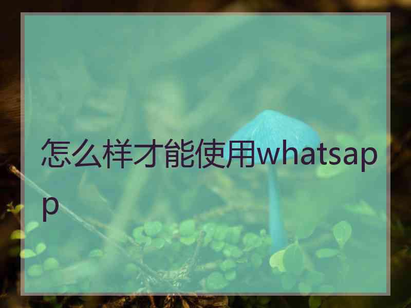 怎么样才能使用whatsapp