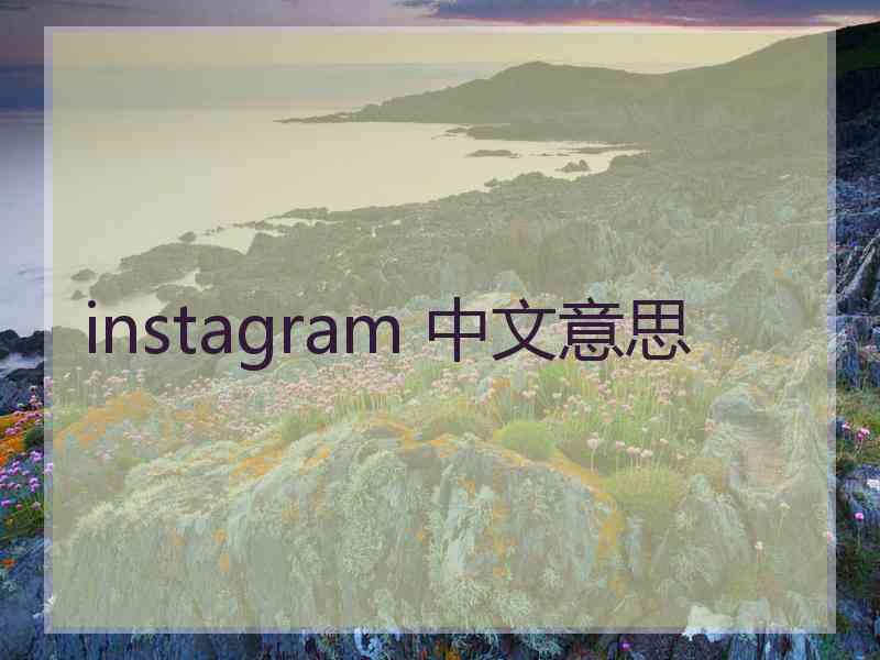 instagram 中文意思