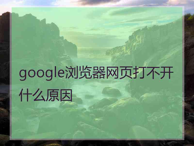 google浏览器网页打不开什么原因