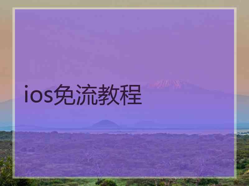 ios免流教程