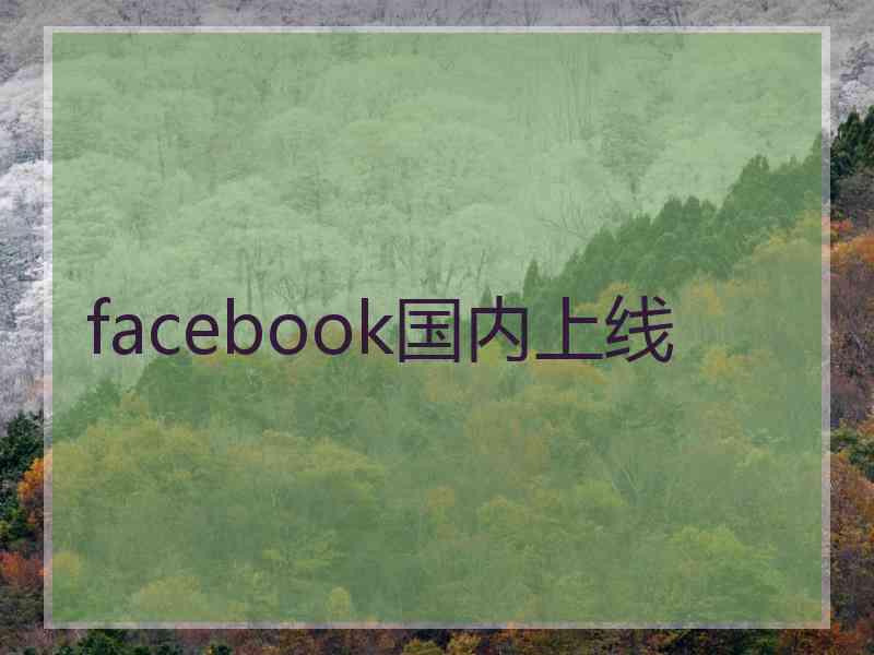 facebook国内上线