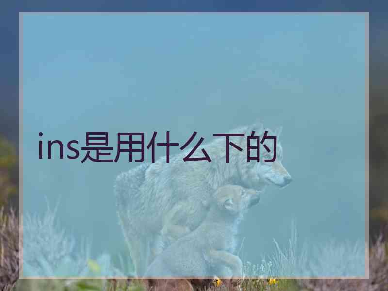 ins是用什么下的