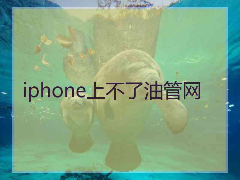 iphone上不了油管网