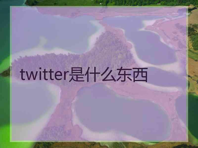 twitter是什么东西