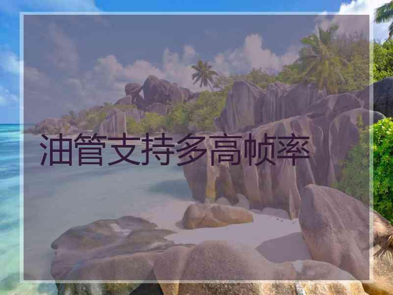 油管支持多高帧率