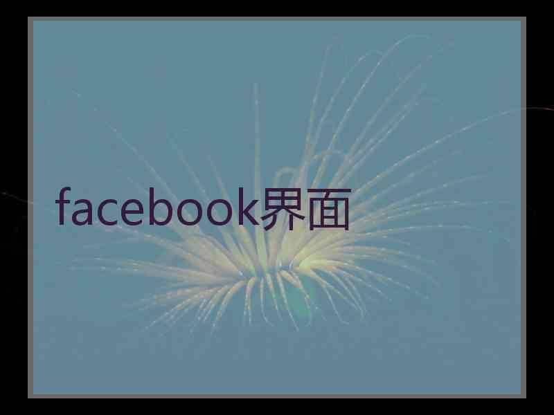 facebook界面