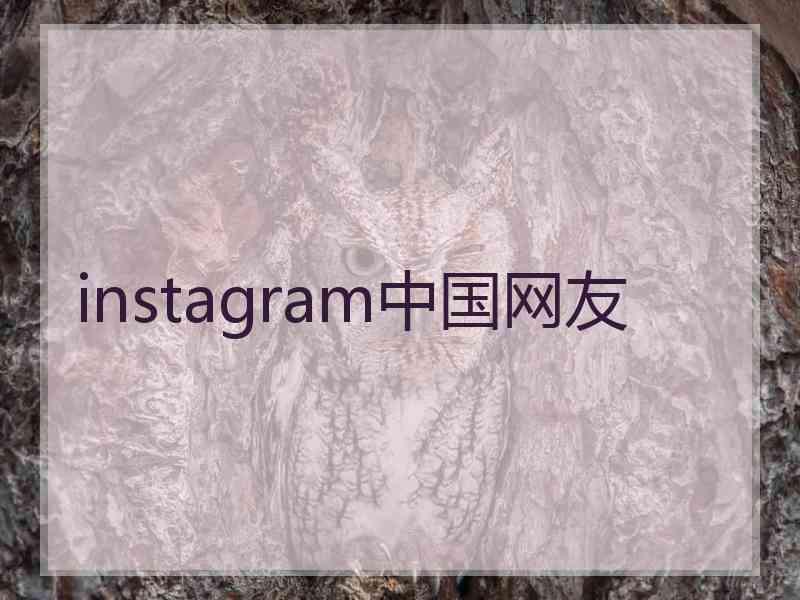 instagram中国网友