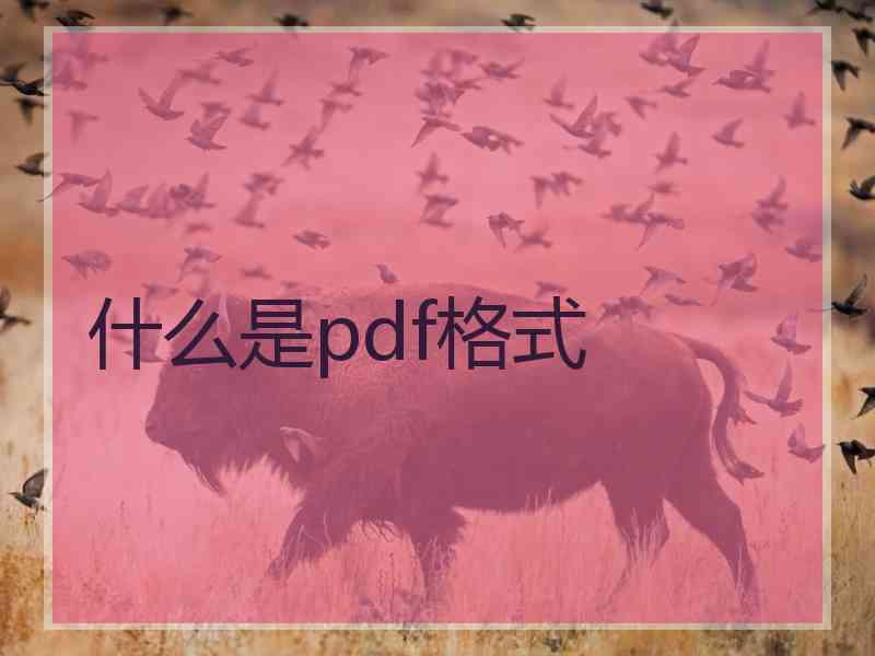 什么是pdf格式