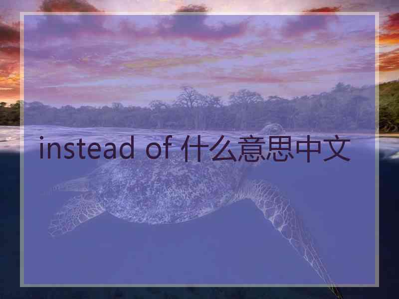 instead of 什么意思中文