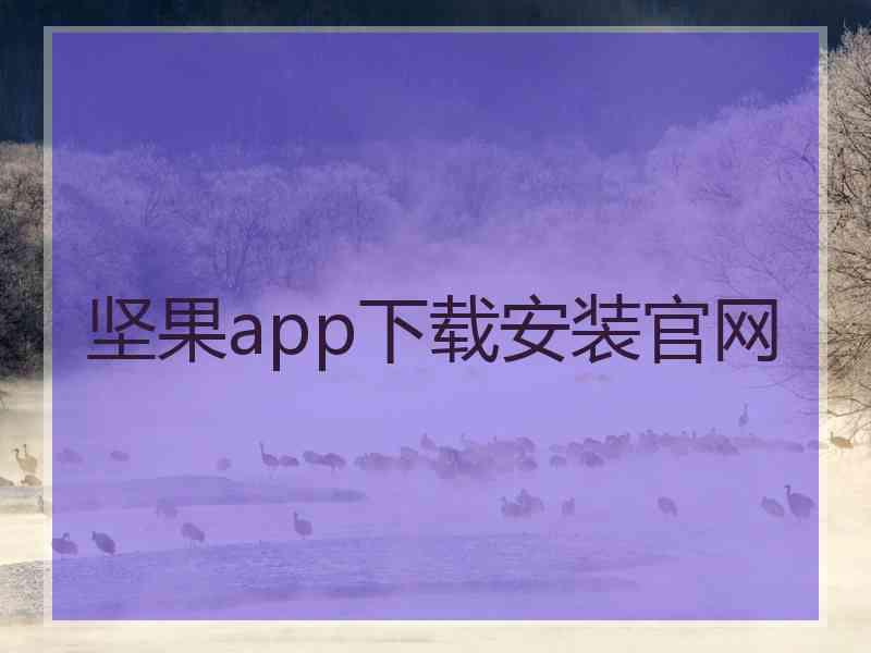 坚果app下载安装官网