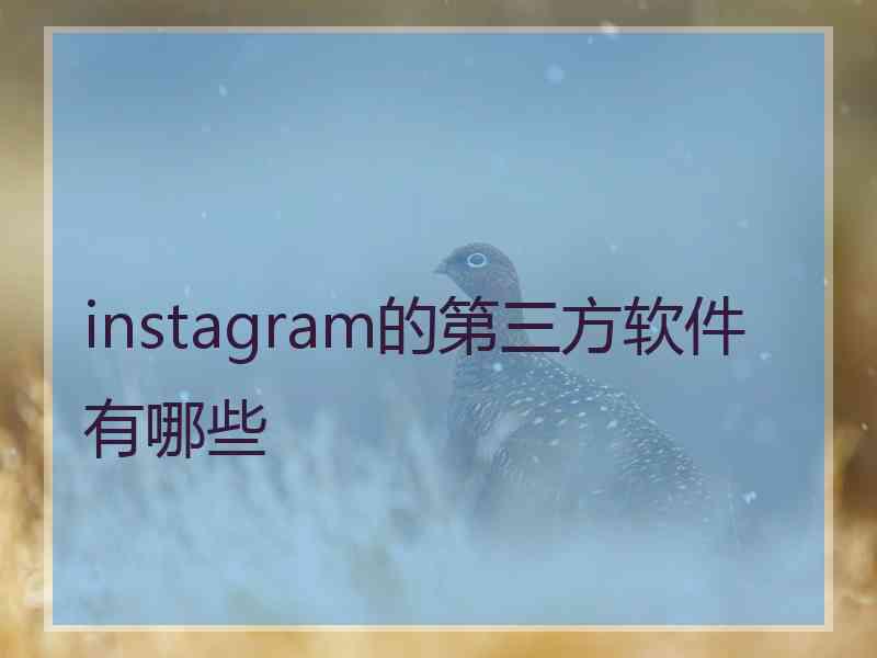 instagram的第三方软件有哪些