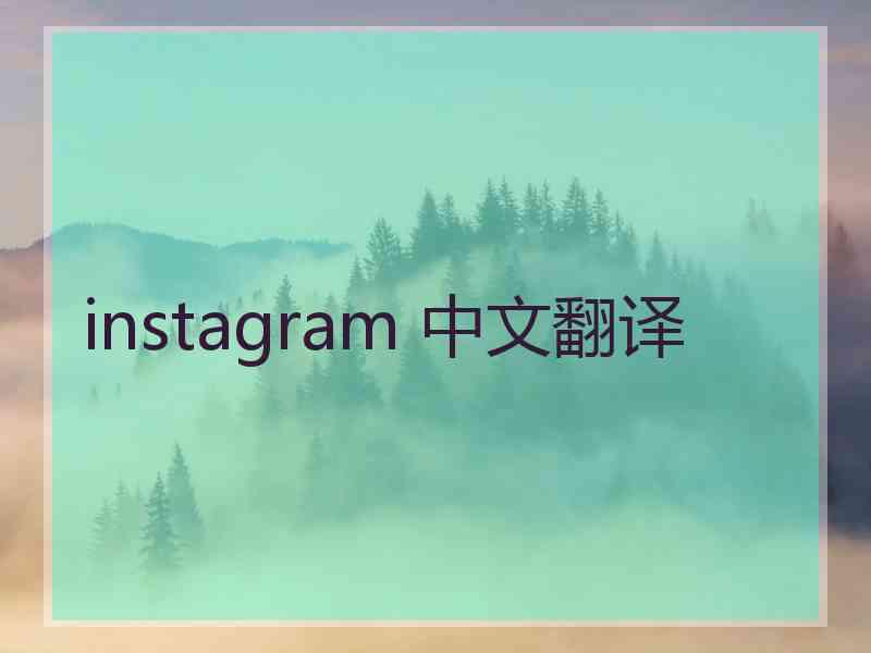 instagram 中文翻译