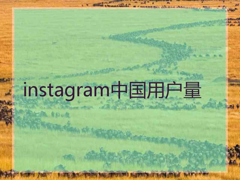 instagram中国用户量