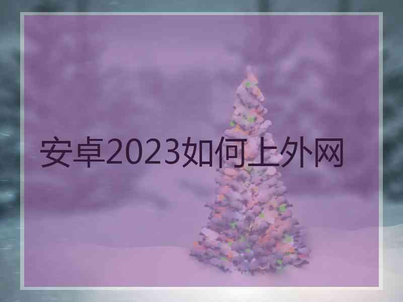 安卓2023如何上外网