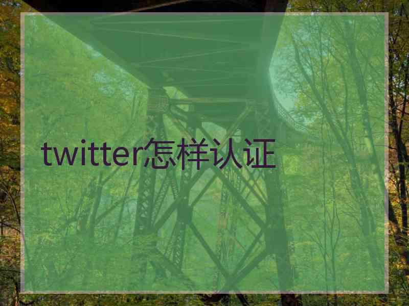 twitter怎样认证