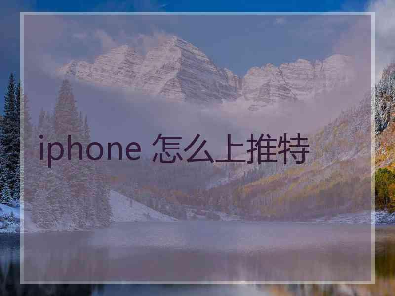 iphone 怎么上推特