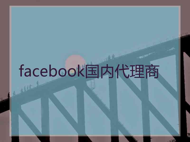 facebook国内代理商