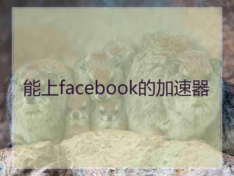 能上facebook的加速器