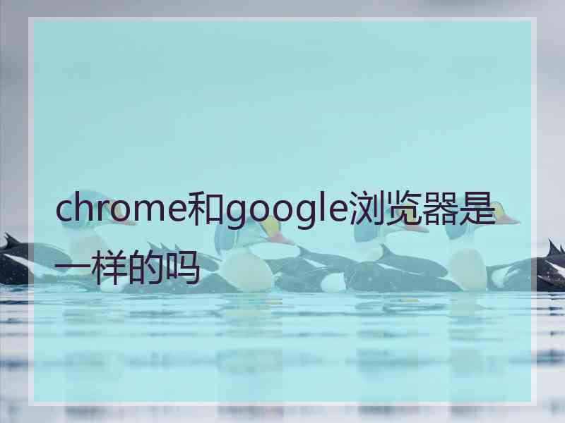 chrome和google浏览器是一样的吗