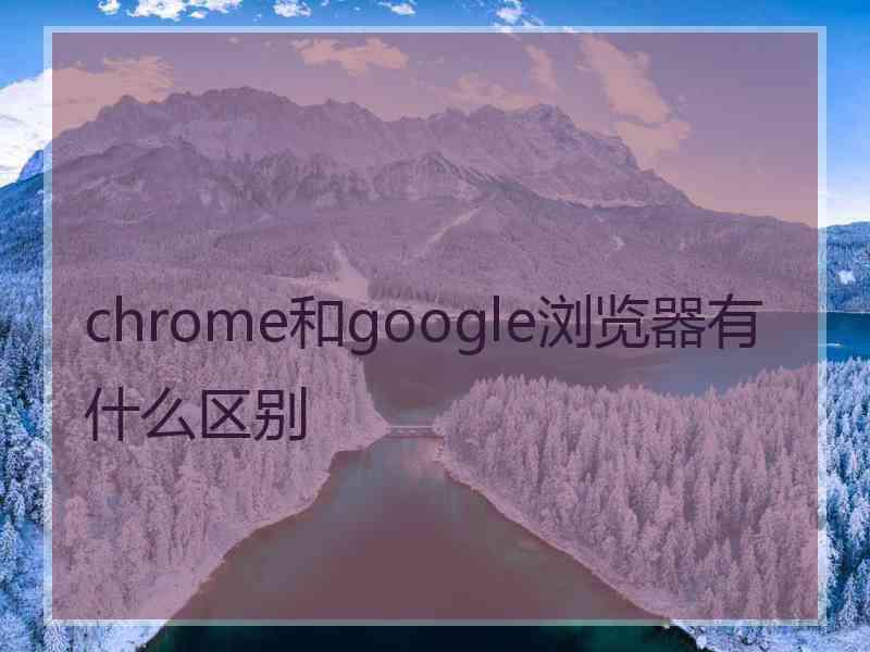 chrome和google浏览器有什么区别