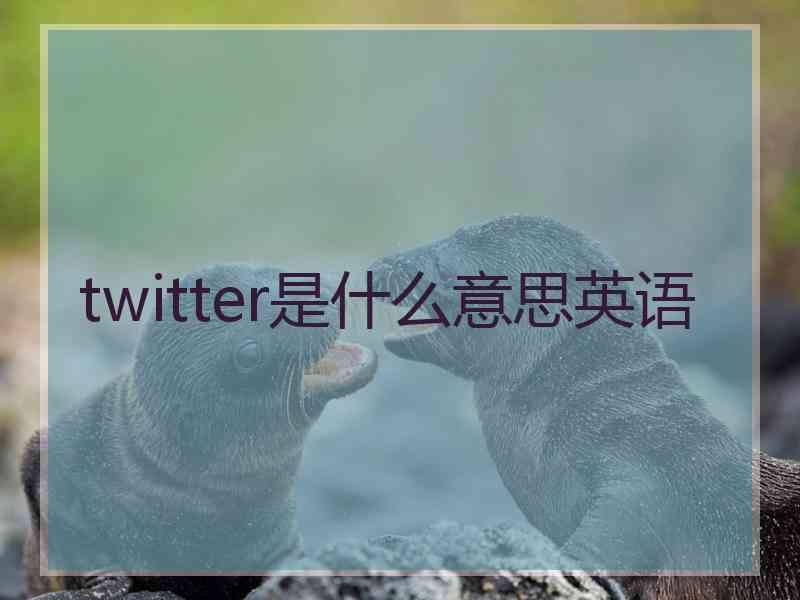 twitter是什么意思英语