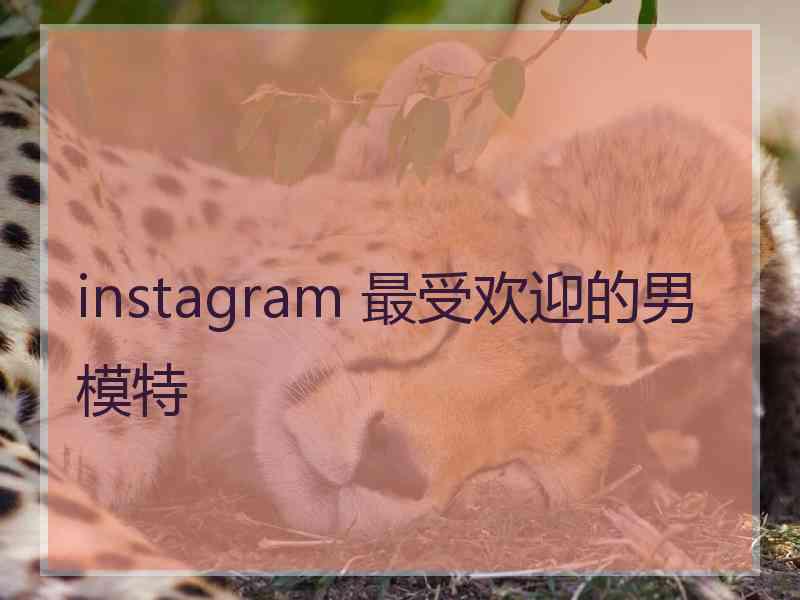 instagram 最受欢迎的男模特