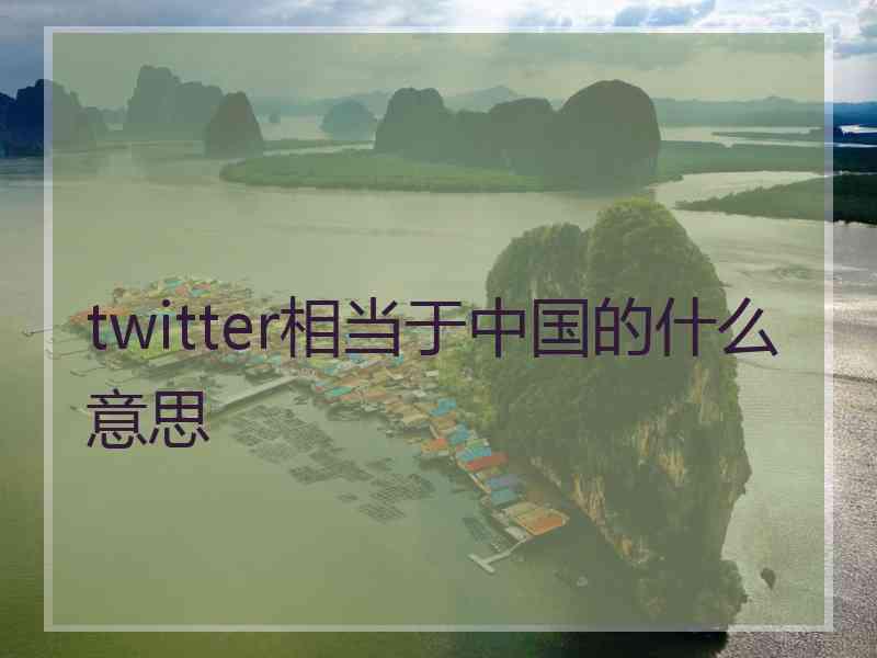 twitter相当于中国的什么意思