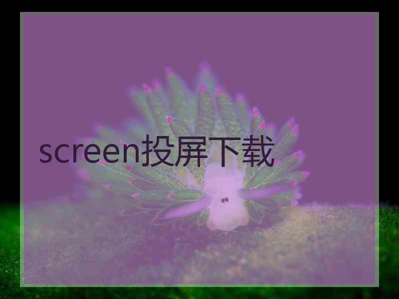 screen投屏下载