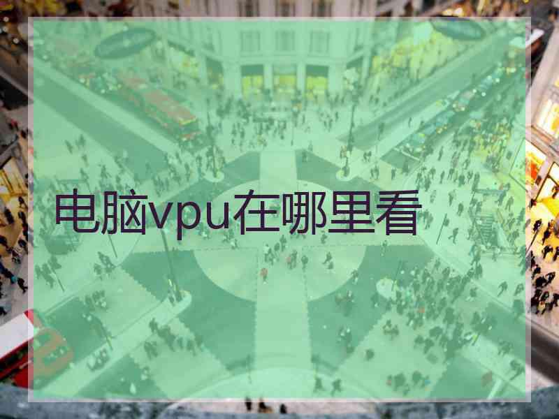 电脑vpu在哪里看