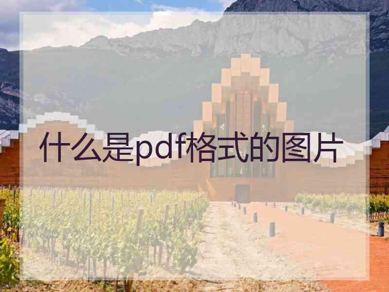 什么是pdf格式的图片