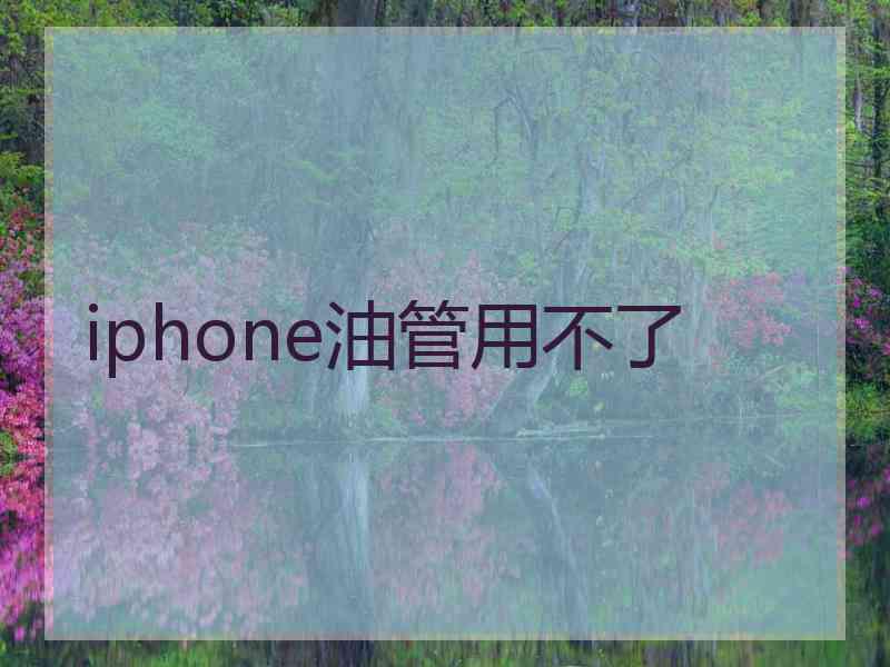 iphone油管用不了