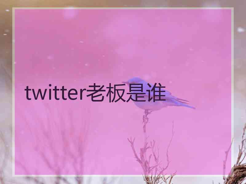 twitter老板是谁