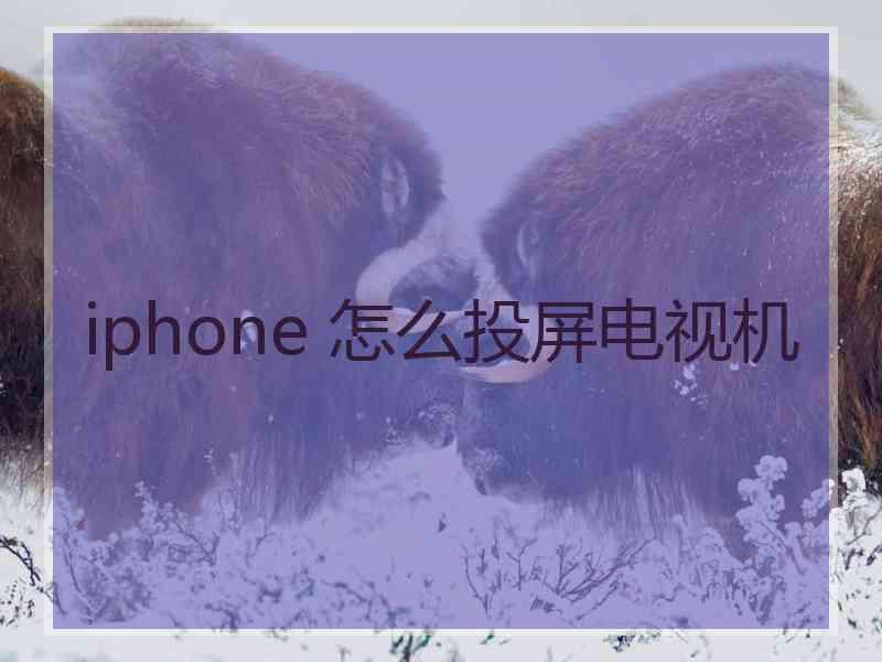 iphone 怎么投屏电视机