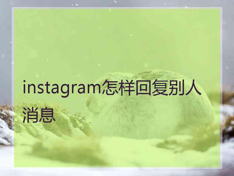 instagram怎样回复别人消息