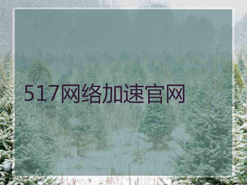 517网络加速官网