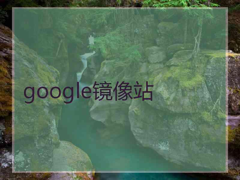 google镜像站