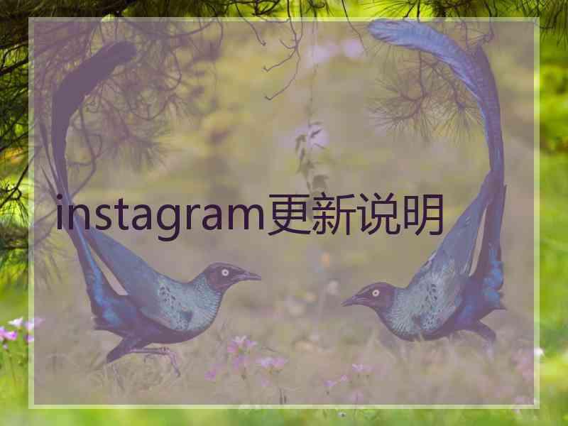 instagram更新说明