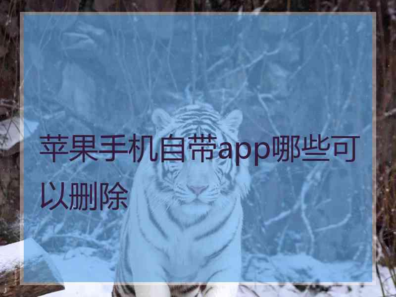 苹果手机自带app哪些可以删除