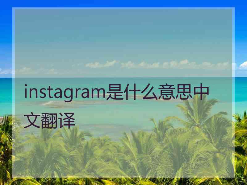 instagram是什么意思中文翻译